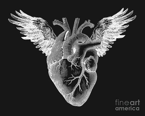 LEAP Kinesiology 1-1 Offer